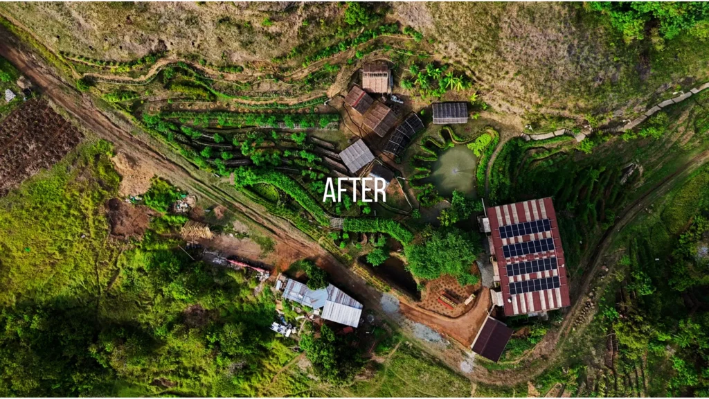 after permaculture